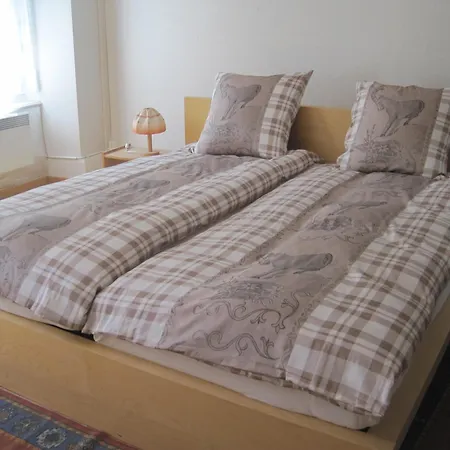 Ferienwohnung Haus Ryter Goschenen Room photo