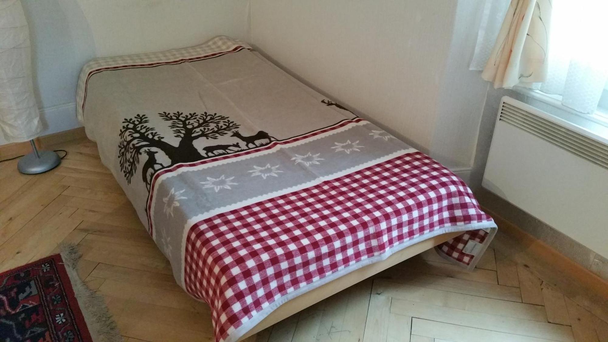 Apartamento Haus Ryter Göschenen